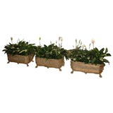 SINGLE Neoclassical style gilt bronze jardinière